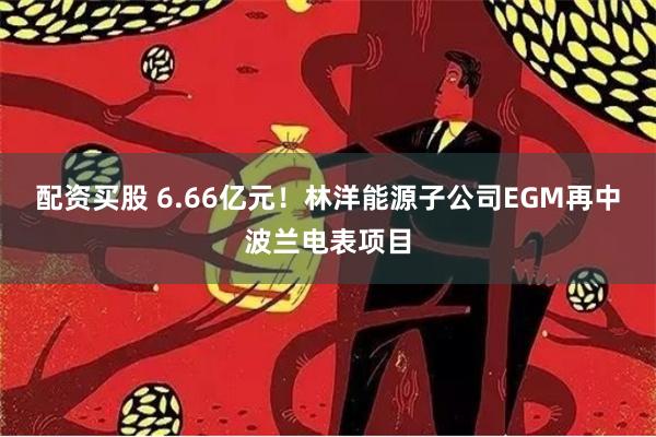 配资买股 6.66亿元！林洋能源子公司EGM再中波兰电表项目