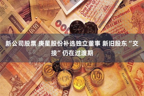 新公司股票 庚星股份补选独立董事 新旧股东“交接”仍在过渡期