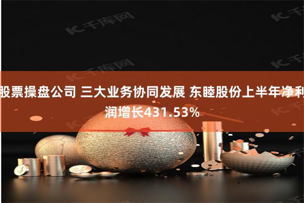 股票操盘公司 三大业务协同发展 东睦股份上半年净利润增长431.53%